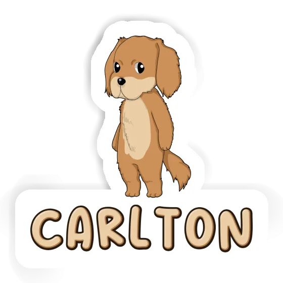 Sticker Carlton Hovawart Image