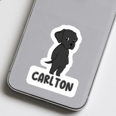 Labrador Sticker Carlton Gift package Image