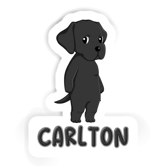 Labrador Sticker Carlton Laptop Image