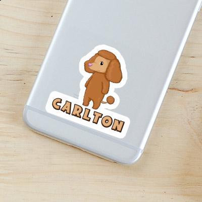 Poodle Sticker Carlton Gift package Image