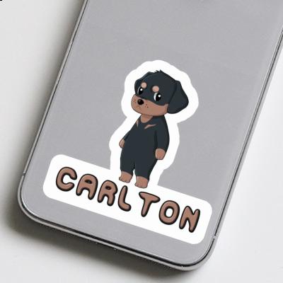 Rottweiler Sticker Carlton Image