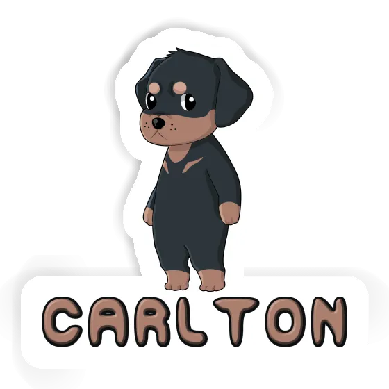 Autocollant Rottweiler Carlton Gift package Image