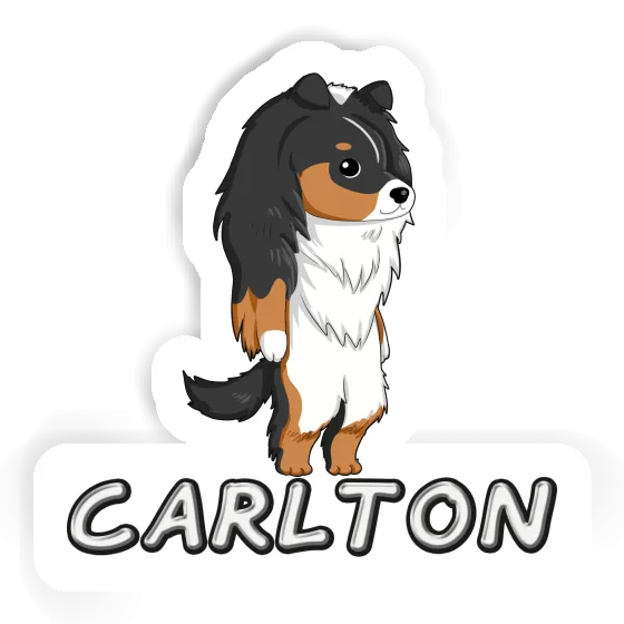 Sticker Sheltie Carlton Notebook Image