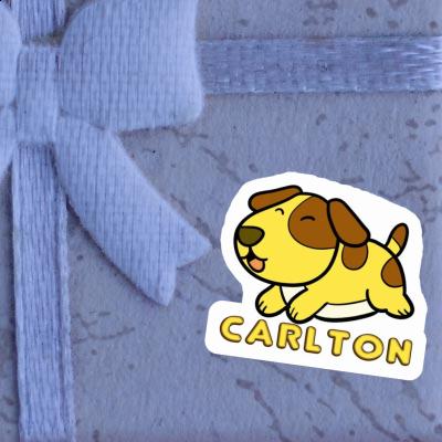 Sticker Carlton Dog Laptop Image