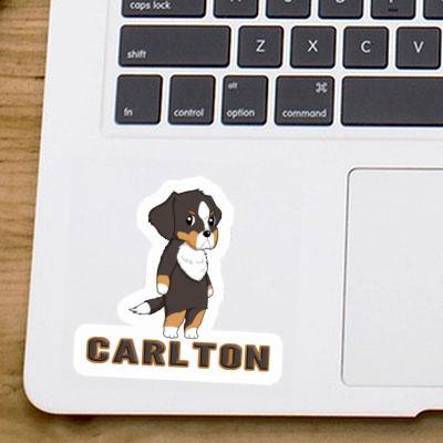 Dog Sticker Carlton Laptop Image