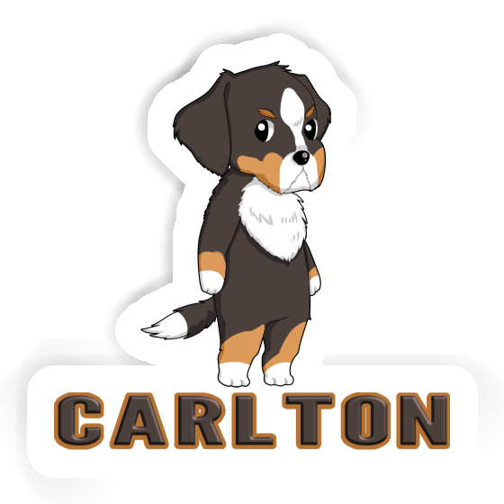 Dog Sticker Carlton Gift package Image