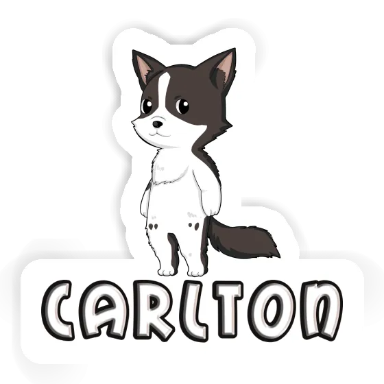 Sticker Carlton Border Collie Image