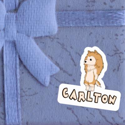 Sticker Carlton Collie Notebook Image