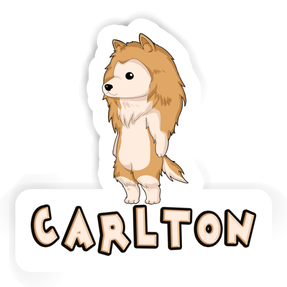 Sticker Carlton Collie Gift package Image