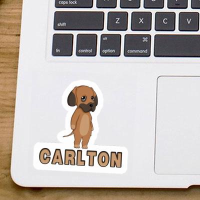 Autocollant Dogue allemand Carlton Laptop Image