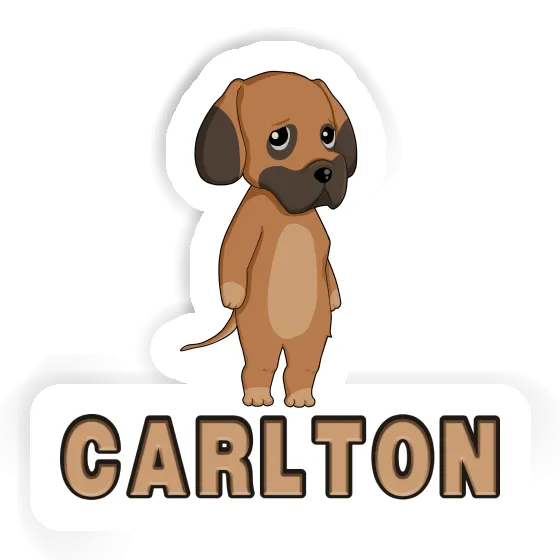 Sticker Carlton  Great Dane Gift package Image