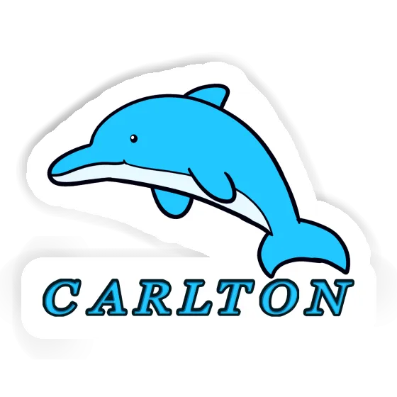 Sticker Carlton Dolphin Laptop Image