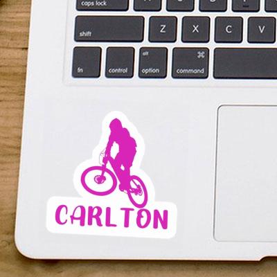 Downhiller Sticker Carlton Gift package Image