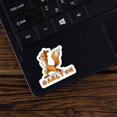 Sticker Carlton Squirrel Laptop Image