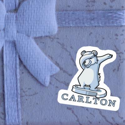 Aufkleber Bär Carlton Gift package Image