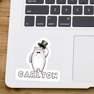 Sticker Carlton Ice Bear Laptop Image