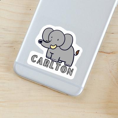 Sticker Carlton Elephant Laptop Image