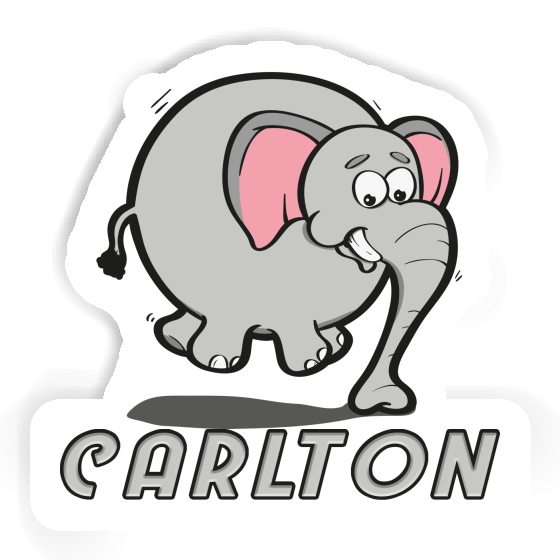 Sticker Elephant Carlton Laptop Image