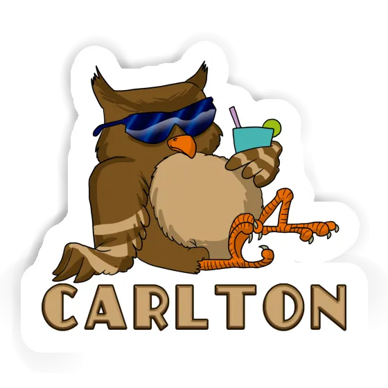 Carlton Sticker Cool Owl Gift package Image