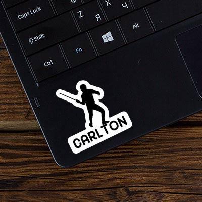 Fencer Sticker Carlton Gift package Image