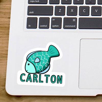 Fish Sticker Carlton Gift package Image