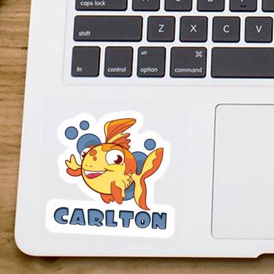 Sticker Fish Carlton Gift package Image