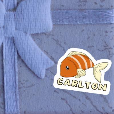 Fish Sticker Carlton Notebook Image