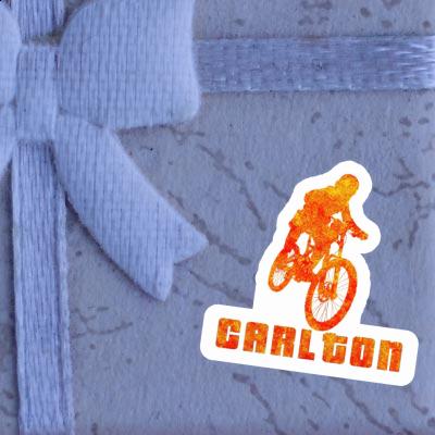 Carlton Sticker Freeride Biker Image