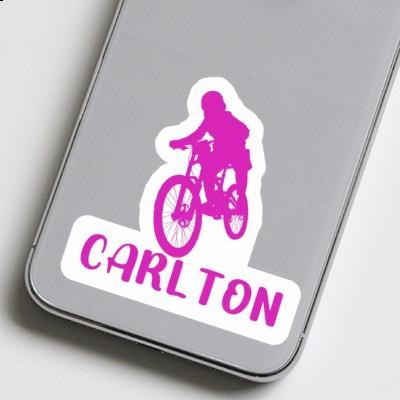 Sticker Freeride Biker Carlton Image