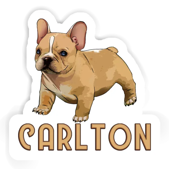 Sticker Carlton Frenchie Gift package Image