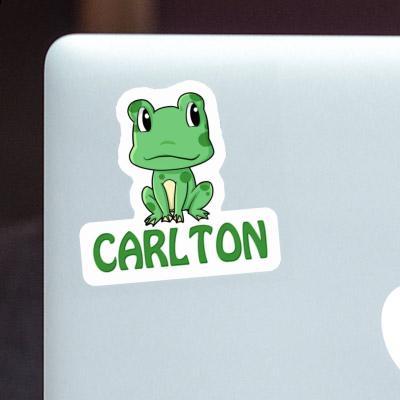 Frog Sticker Carlton Notebook Image