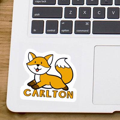 Carlton Aufkleber Fuchs Laptop Image