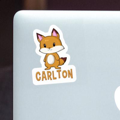 Carlton Aufkleber Fuchs Laptop Image