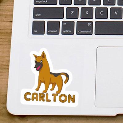 Autocollant Chien de berger Carlton Laptop Image