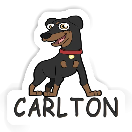 Carlton Sticker German Pinscher Notebook Image