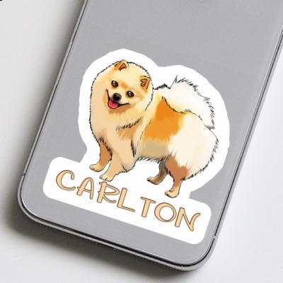 Sticker Carlton German Spitz Laptop Image