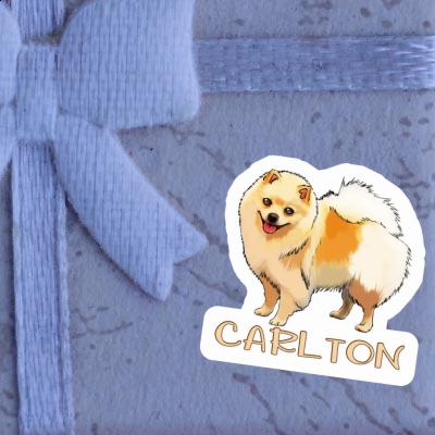 Sticker Carlton German Spitz Gift package Image