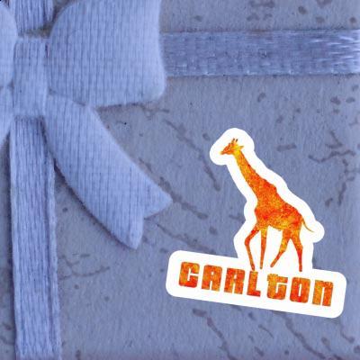 Sticker Giraffe Carlton Notebook Image