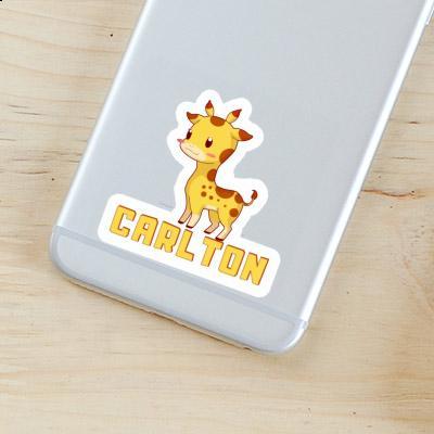 Carlton Sticker Giraffe Gift package Image