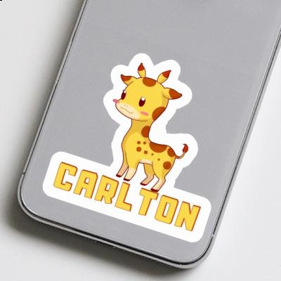 Carlton Sticker Giraffe Gift package Image