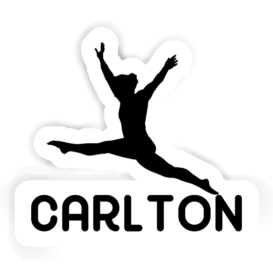 Gymnast Sticker Carlton Gift package Image