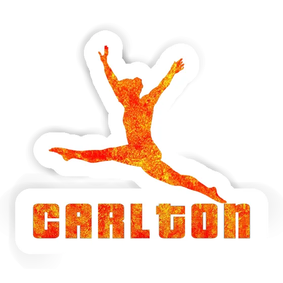 Carlton Sticker Gymnastin Notebook Image