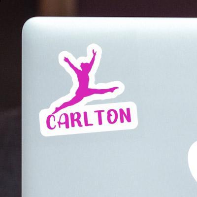 Gymnast Sticker Carlton Gift package Image