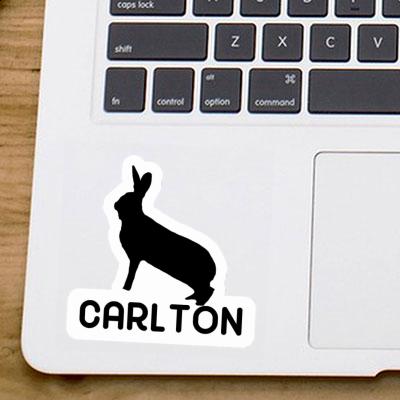 Hase Aufkleber Carlton Laptop Image