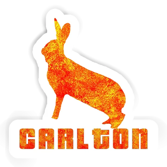 Sticker Rabbit Carlton Gift package Image