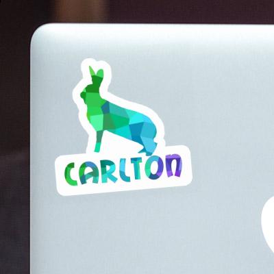 Carlton Sticker Rabbit Gift package Image