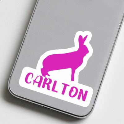 Sticker Rabbit Carlton Image