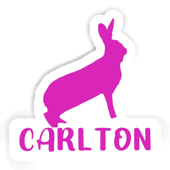 Sticker Rabbit Carlton Gift package Image