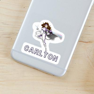 Hairdresser Sticker Carlton Gift package Image