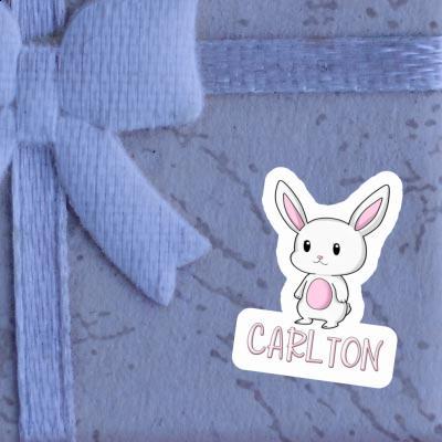 Carlton Sticker Hare Laptop Image